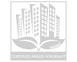 Certified Mold Hygienist