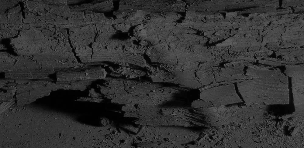 Read more about the article How to Check Your Home for Dry Rot and How to Repair It